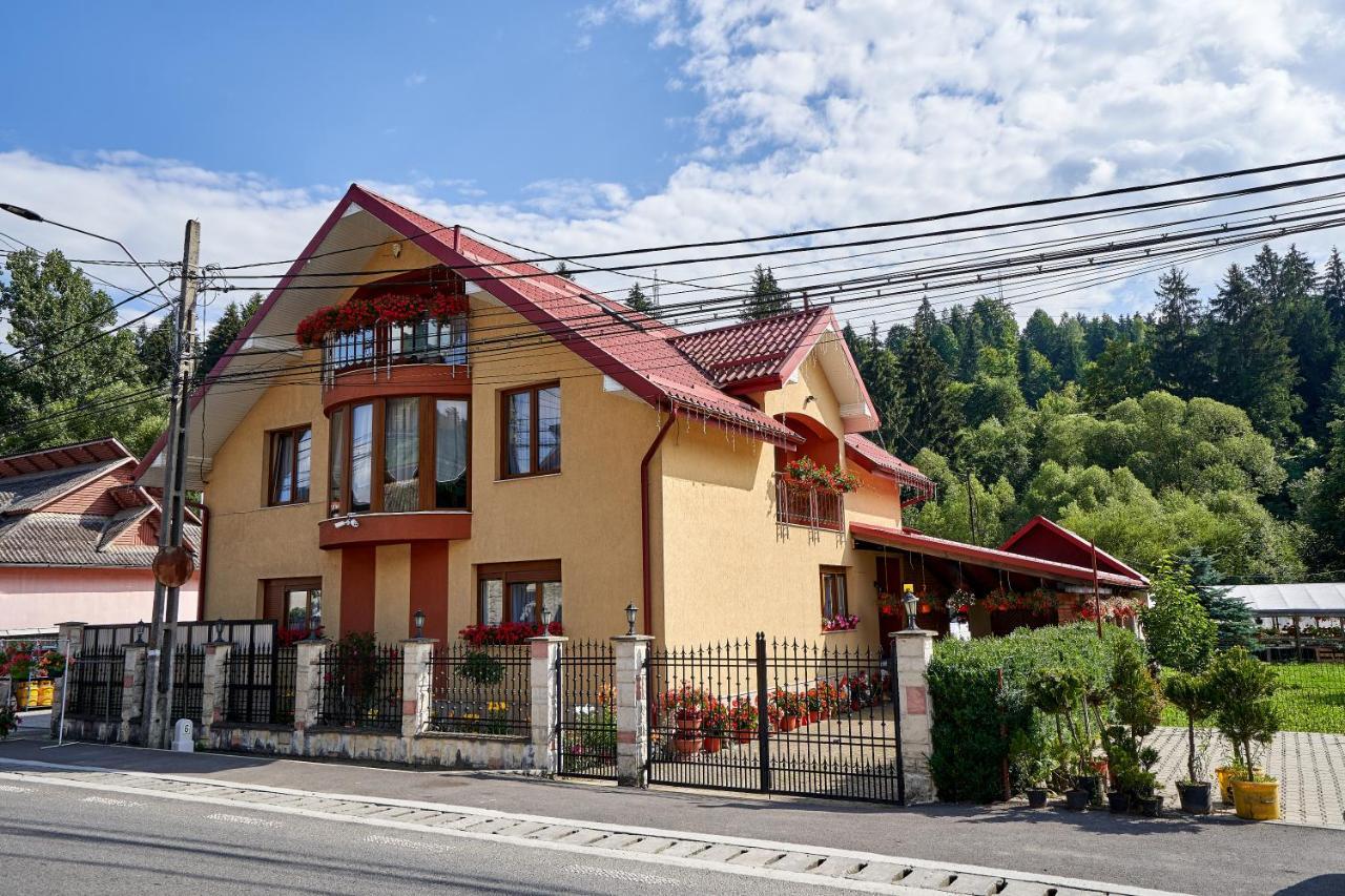 Casa Cu Flori Moisei Hotel ภายนอก รูปภาพ