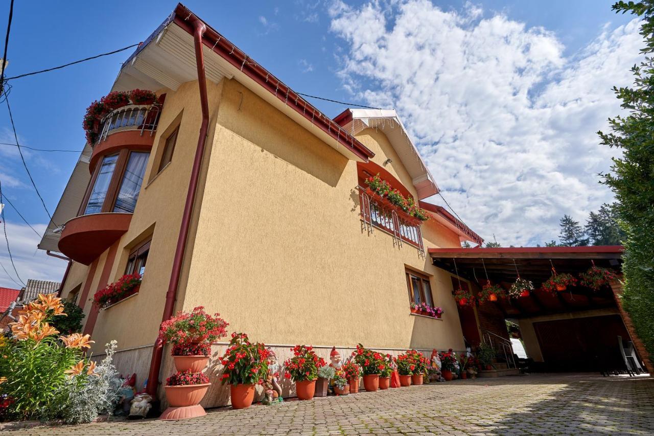 Casa Cu Flori Moisei Hotel ภายนอก รูปภาพ