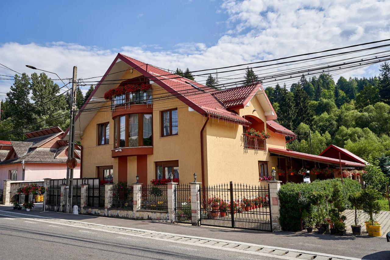 Casa Cu Flori Moisei Hotel ภายนอก รูปภาพ